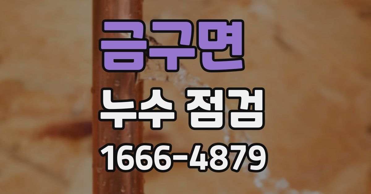 금구면 누수 점검