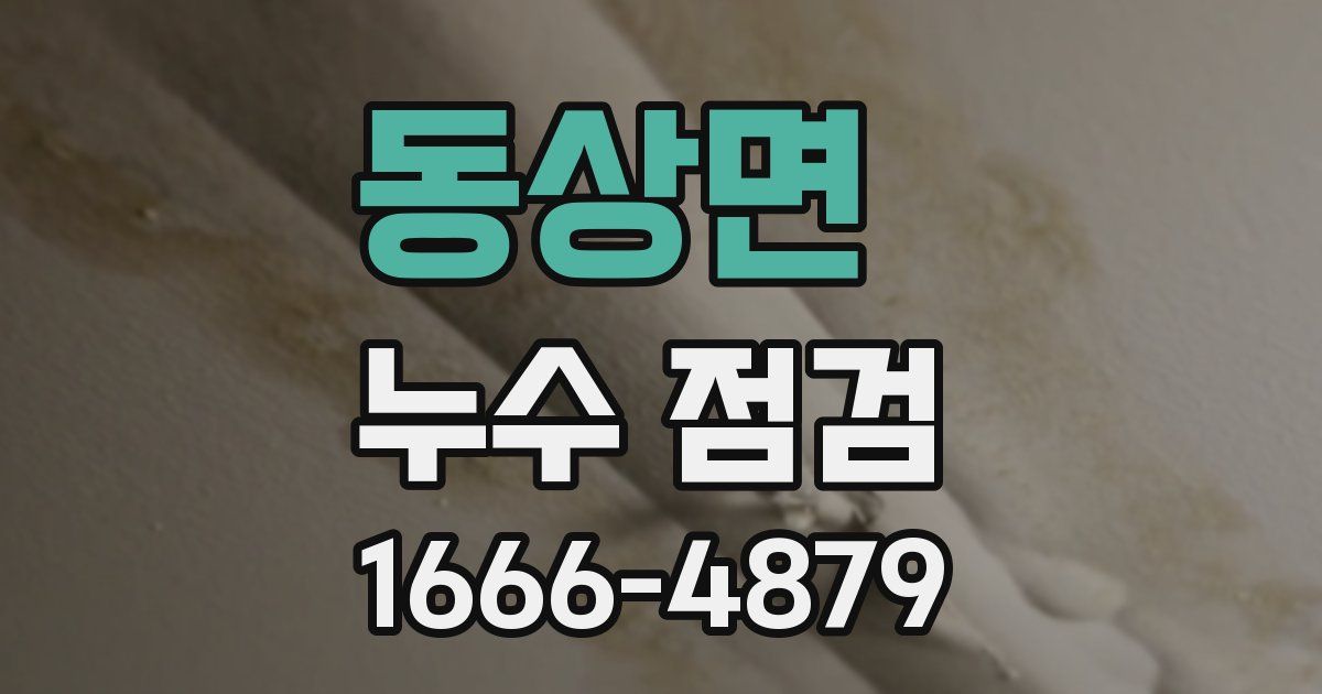 동상면 누수 점검