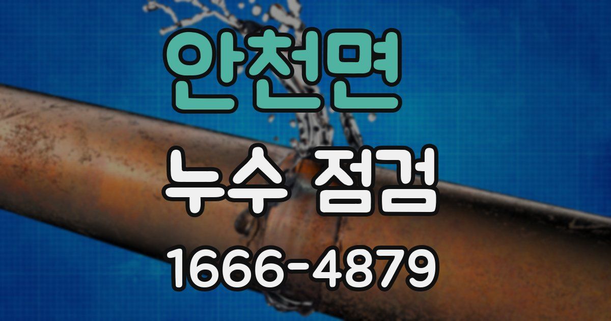 안천면 누수 점검