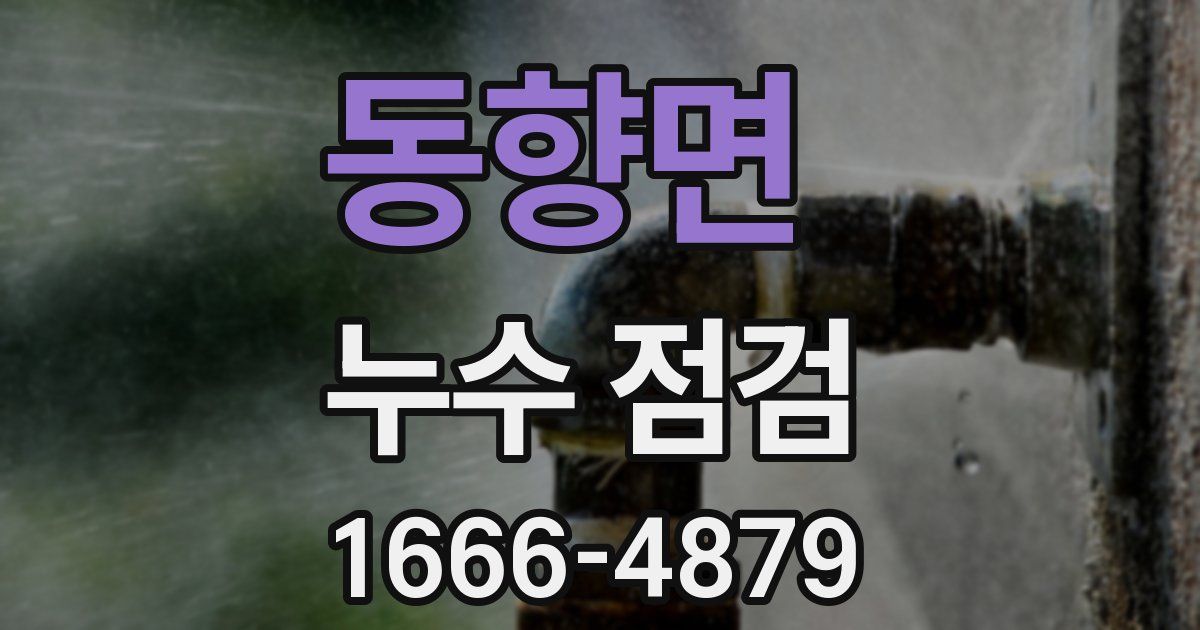 동향면 누수 점검