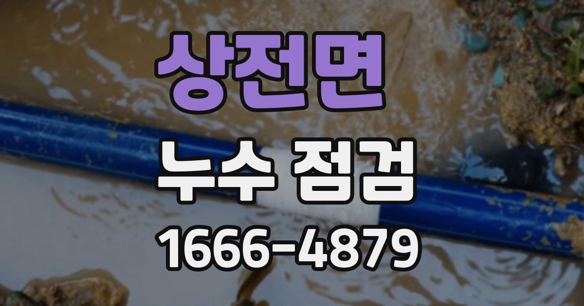 상전면 누수 점검