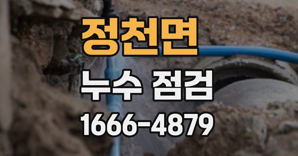 정천면 누수 점검