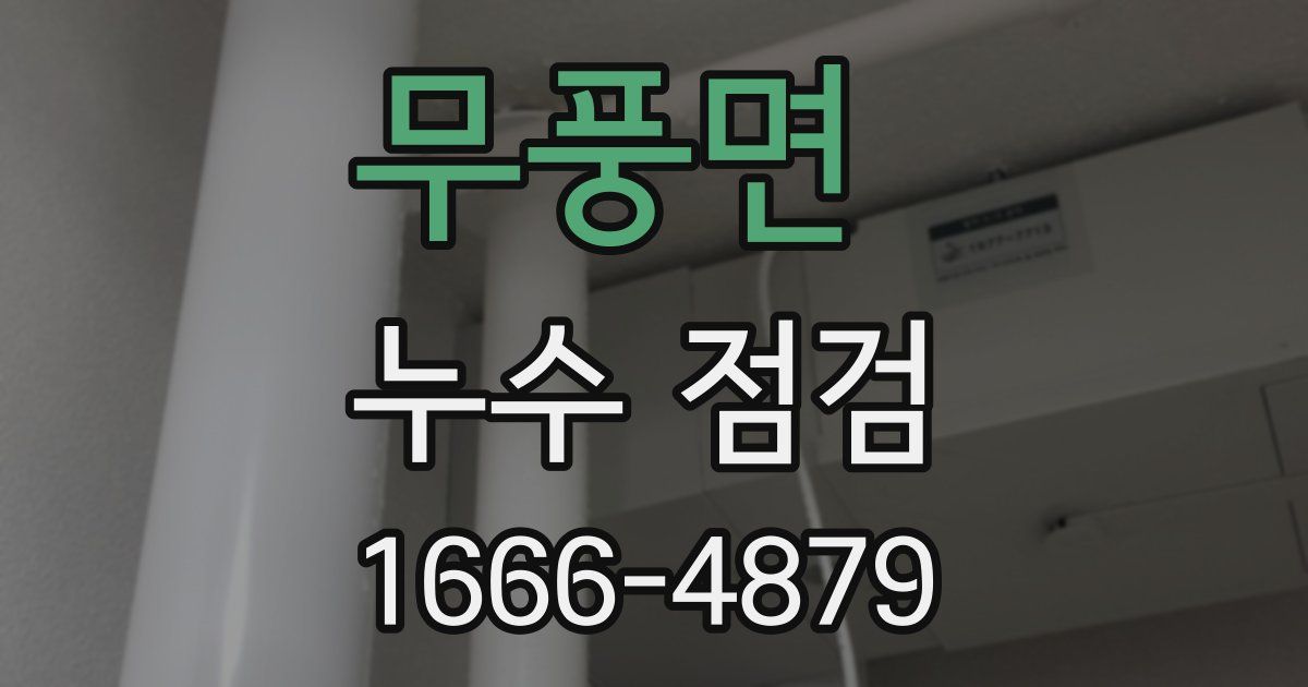 무풍면 누수 점검