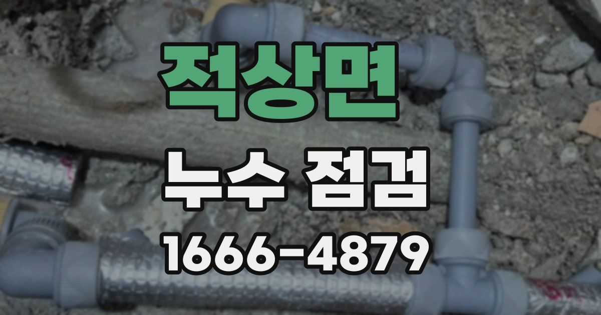 적상면 누수 점검