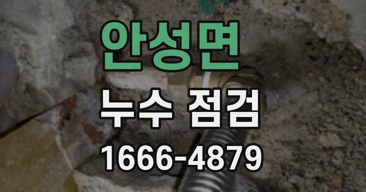 안성면 누수 점검