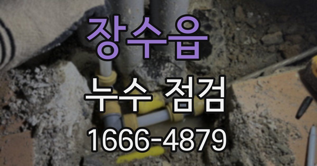 장수읍 누수 점검