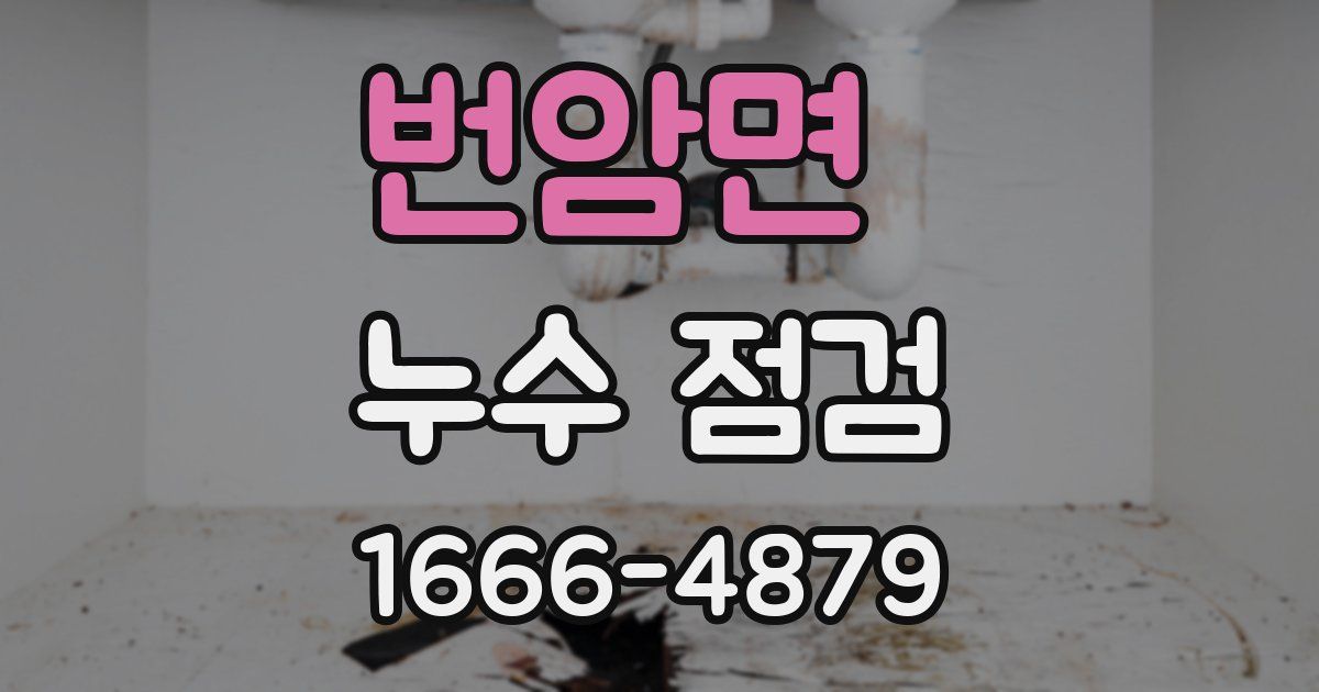 번암면 누수 점검