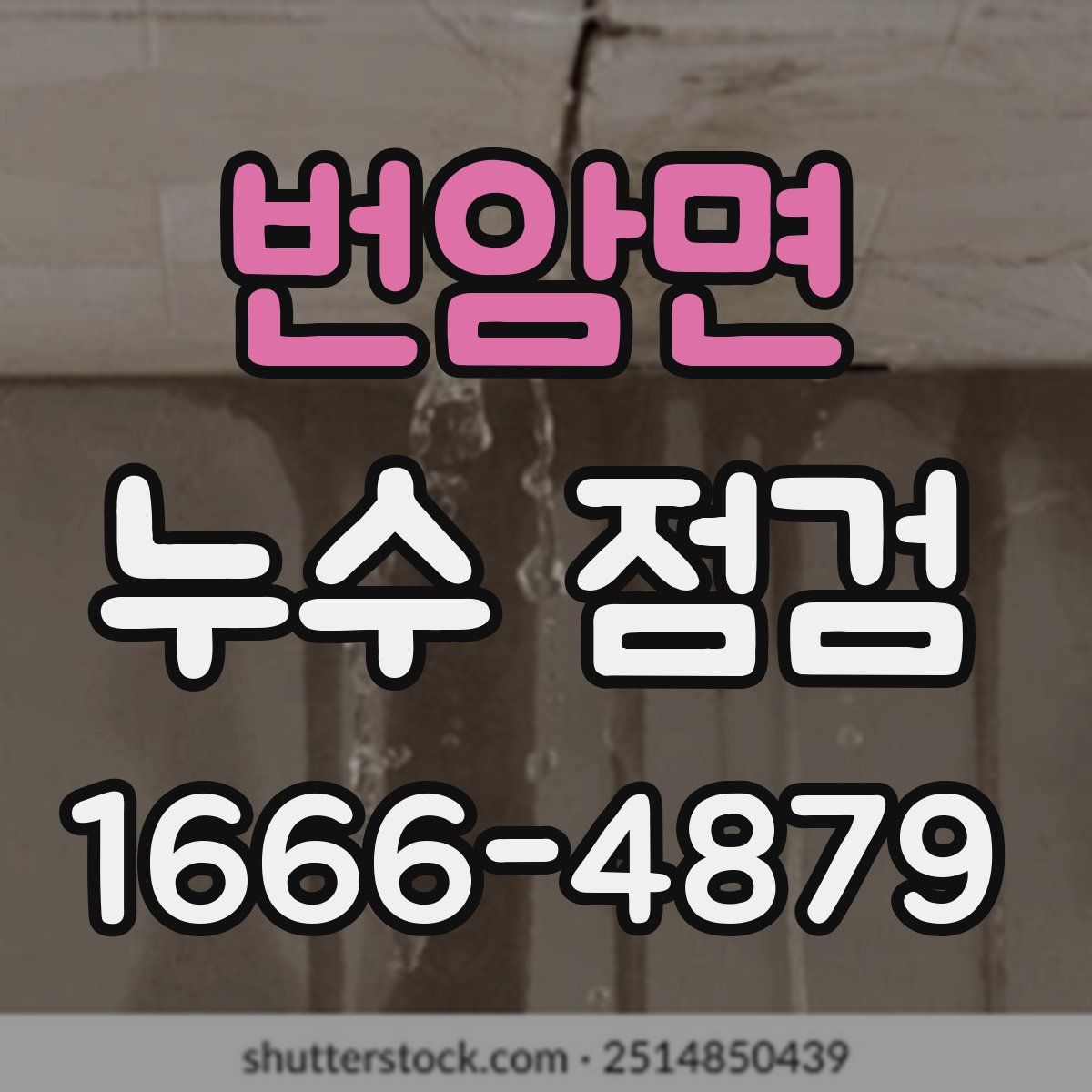 번암면 누수 점검