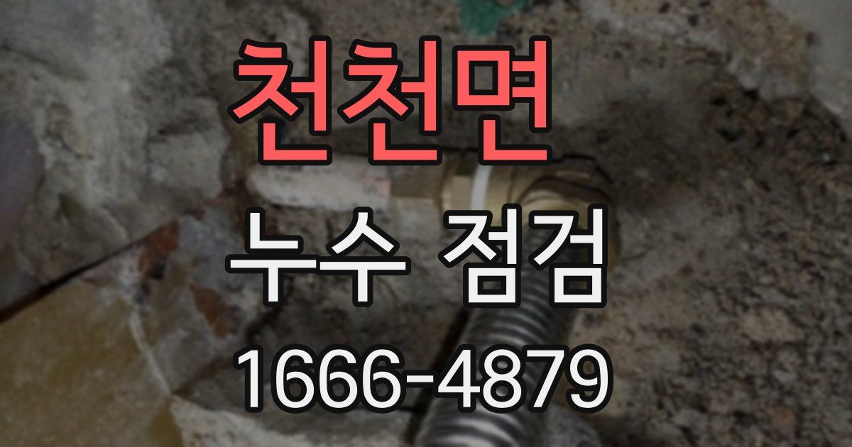 천천면 누수 점검