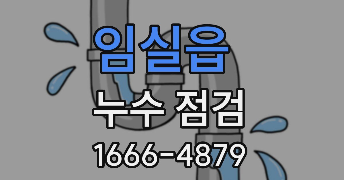 임실읍 누수 점검