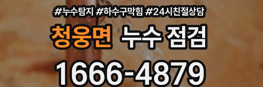 청웅면 누수 점검