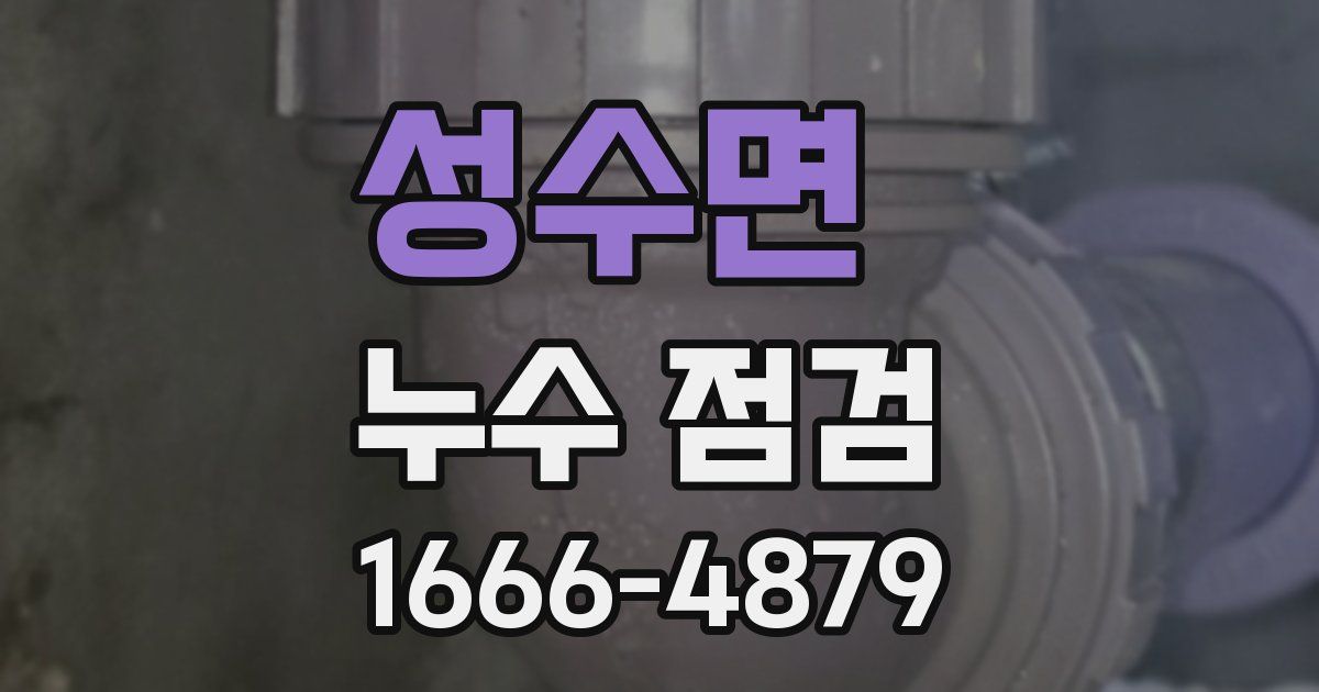 성수면 누수 점검