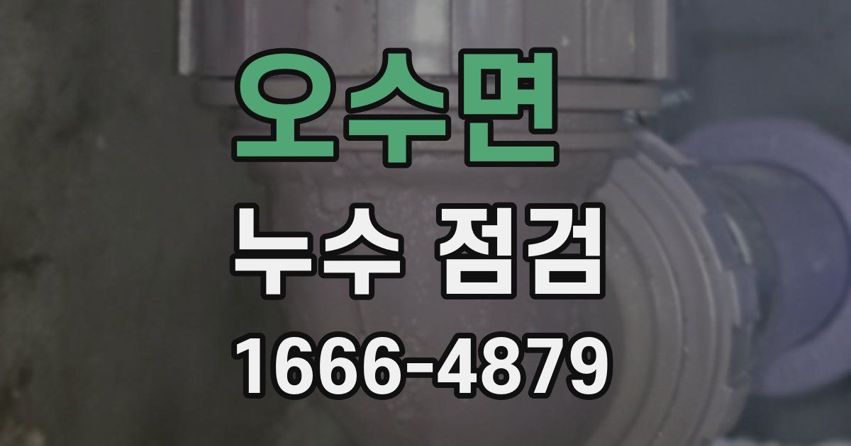 오수면 누수 점검