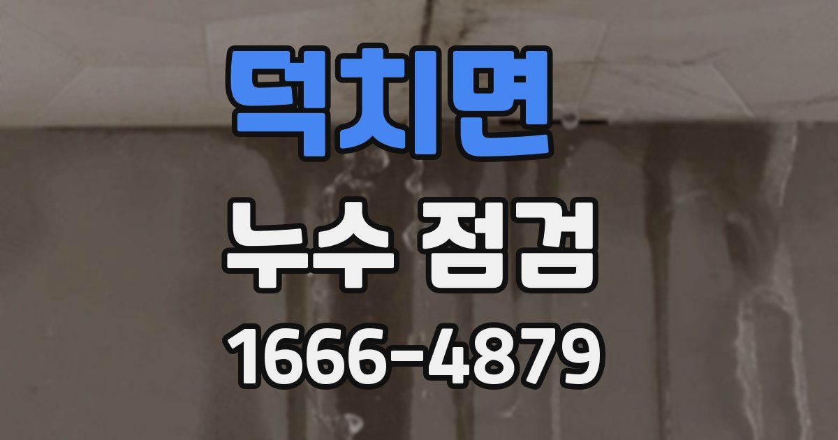 덕치면 누수 점검