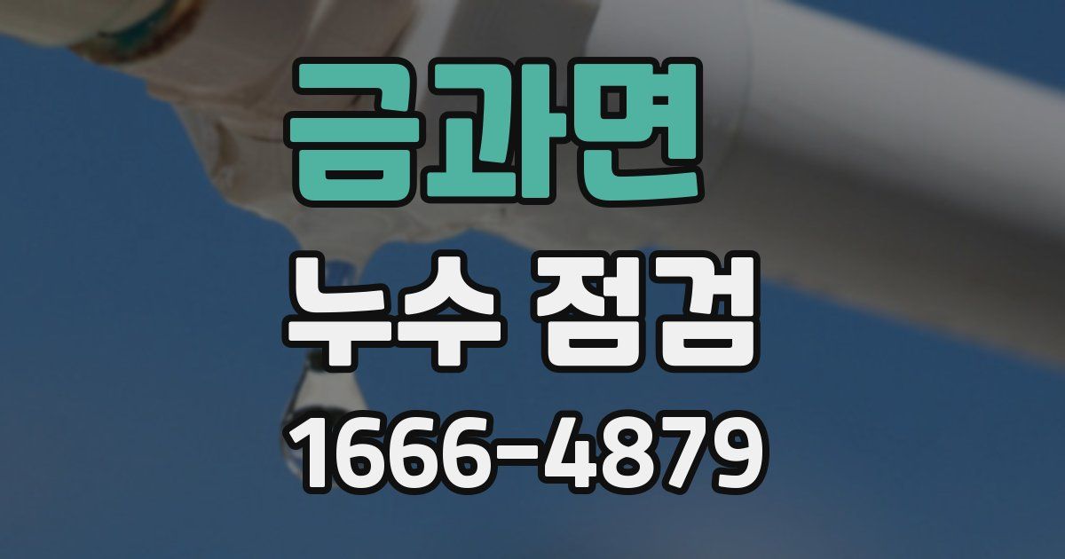 금과면 누수 점검