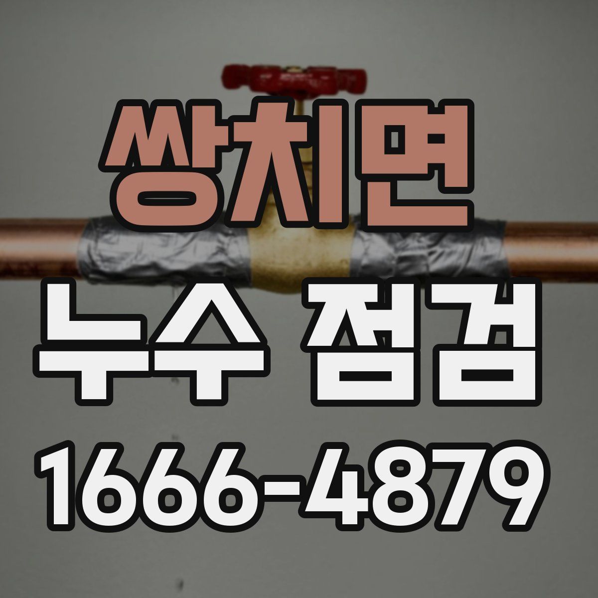 쌍치면 누수 점검