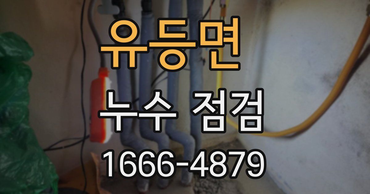 유등면 누수 점검