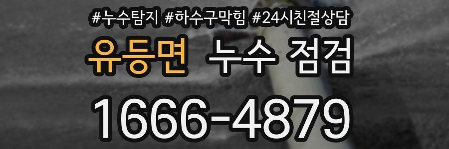 유등면 누수 점검