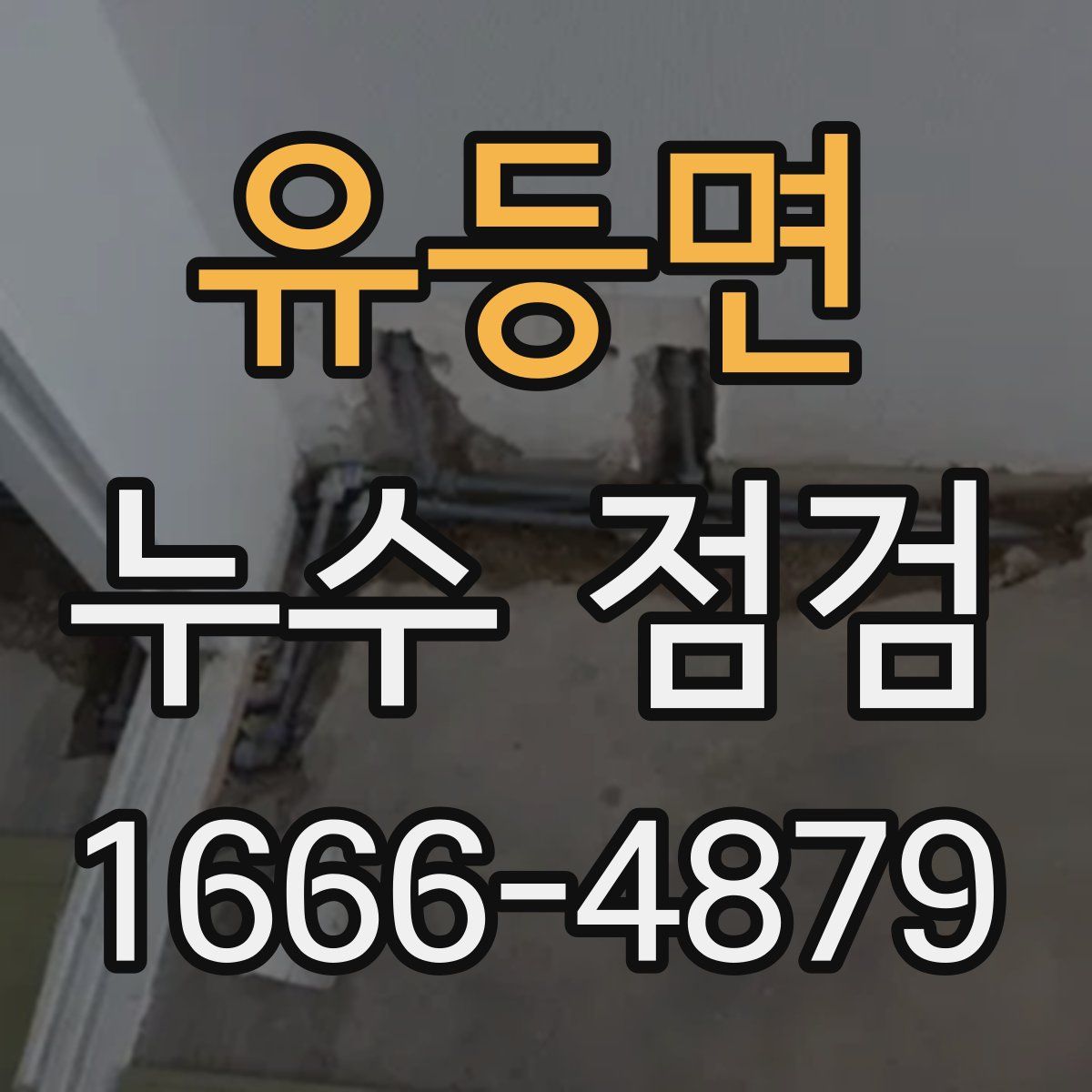 유등면 누수 점검