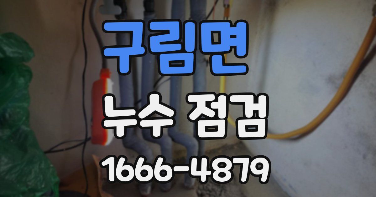 구림면 누수 점검