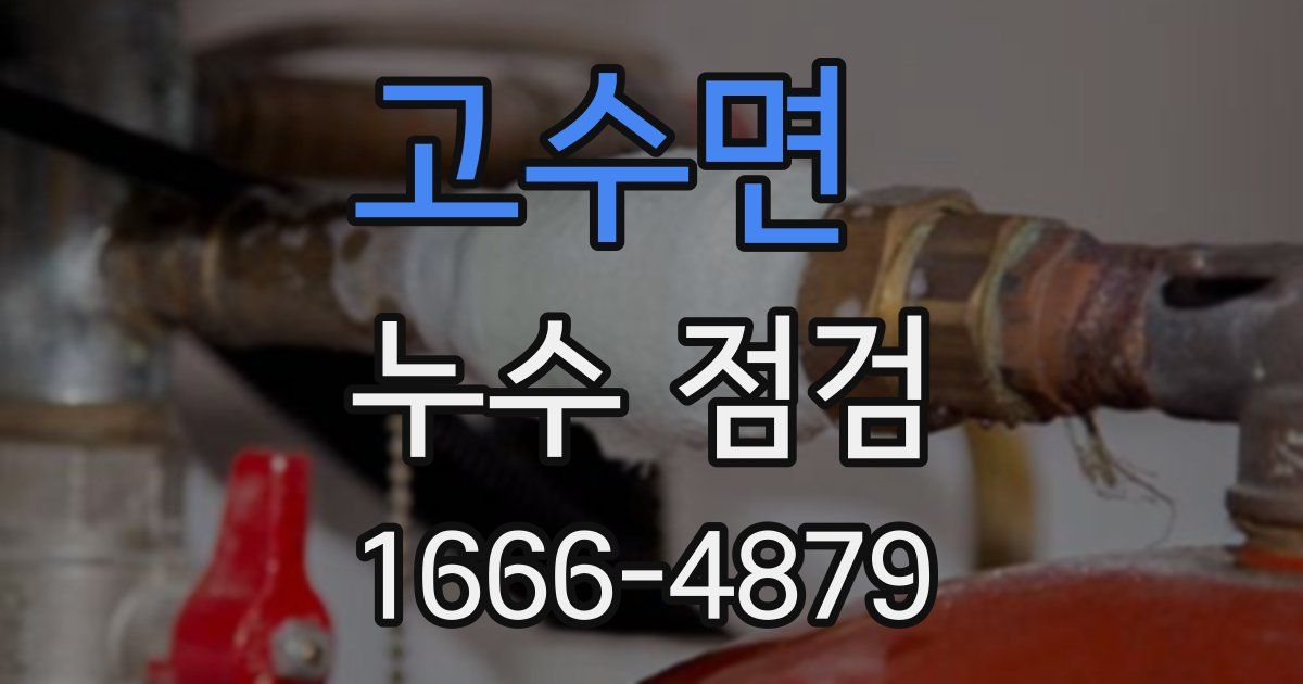 고수면 누수 점검