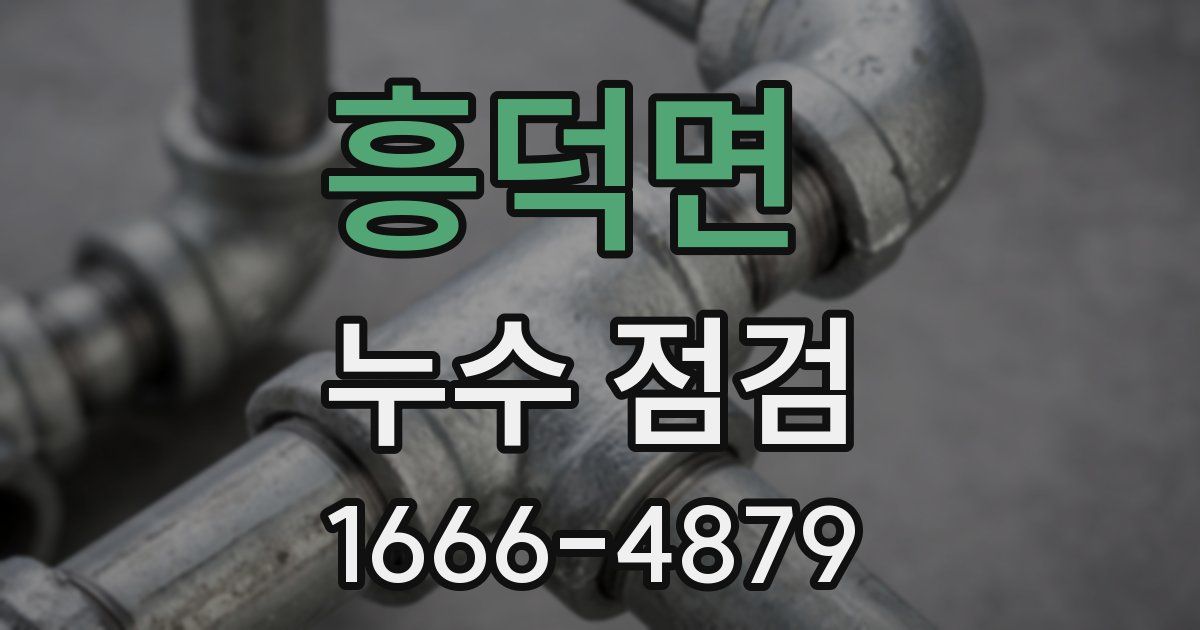 흥덕면 누수 점검