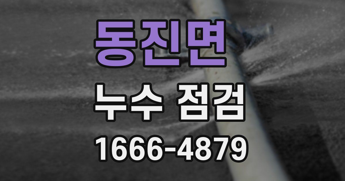 동진면 누수 점검