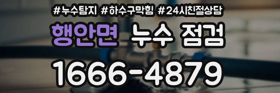 행안면 누수 점검