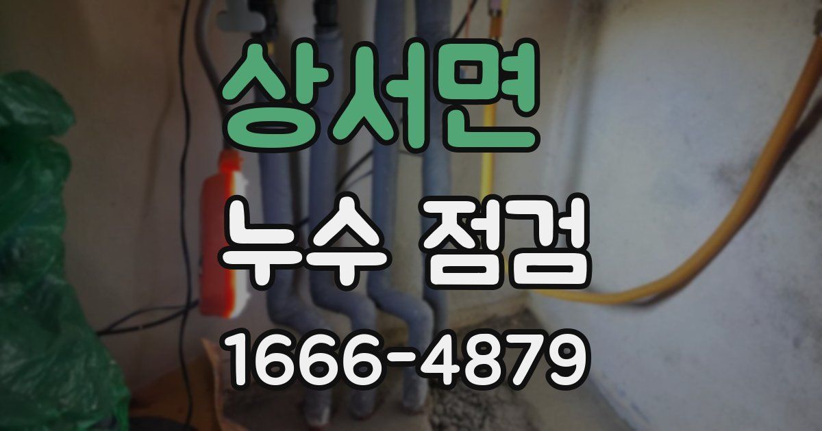 상서면 누수 점검
