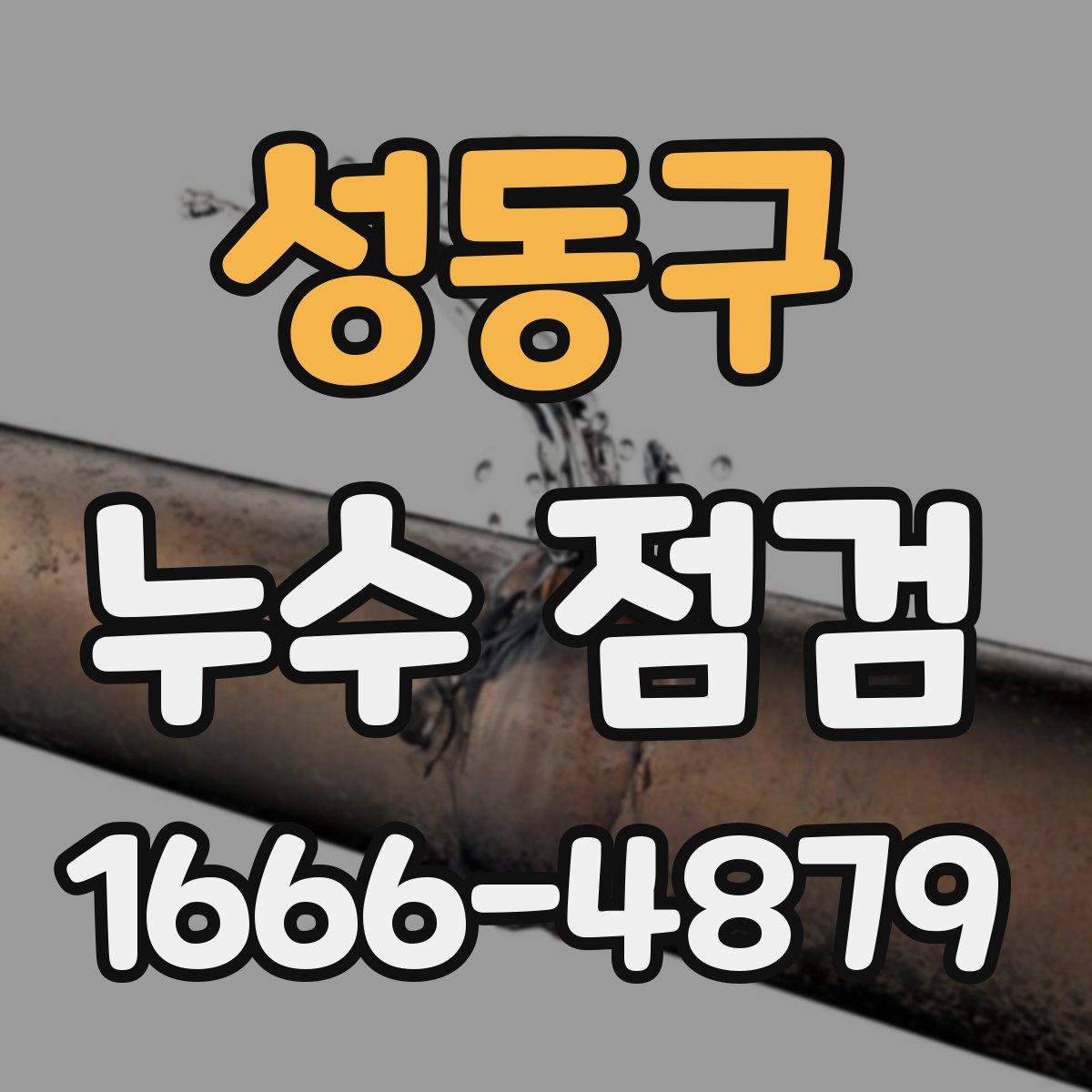 성동구 누수 점검