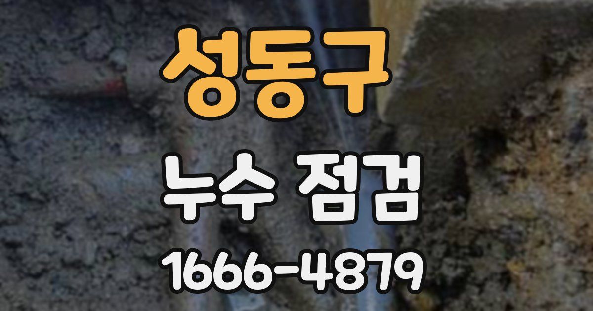 성동구 누수 점검