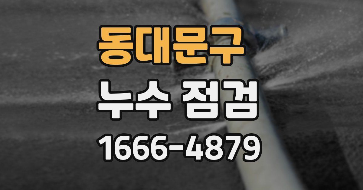 동대문구 누수 점검