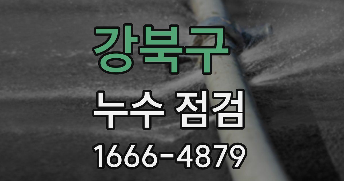 강북구 누수 점검