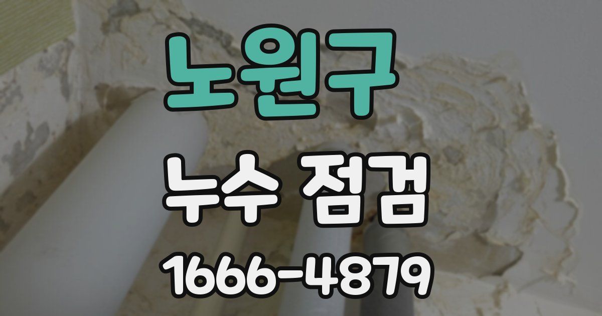 노원구 누수 점검