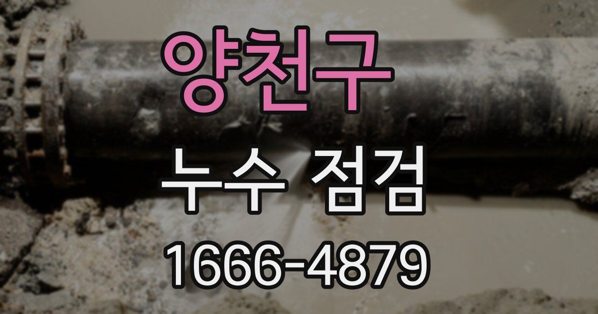 양천구 누수 점검