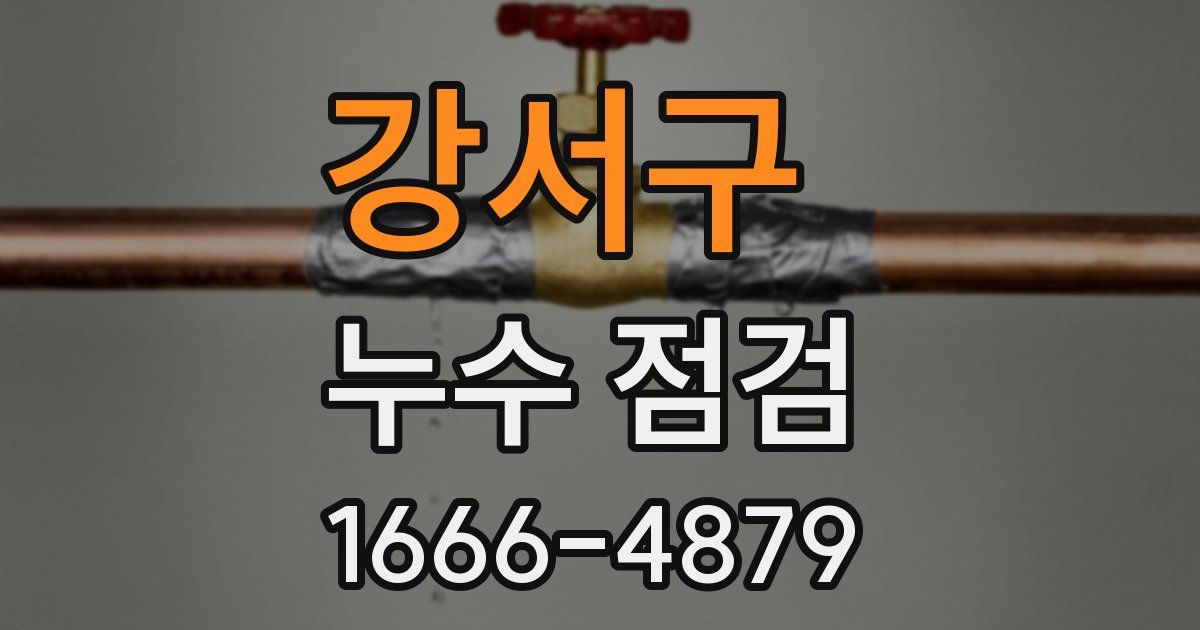 강서구 누수 점검