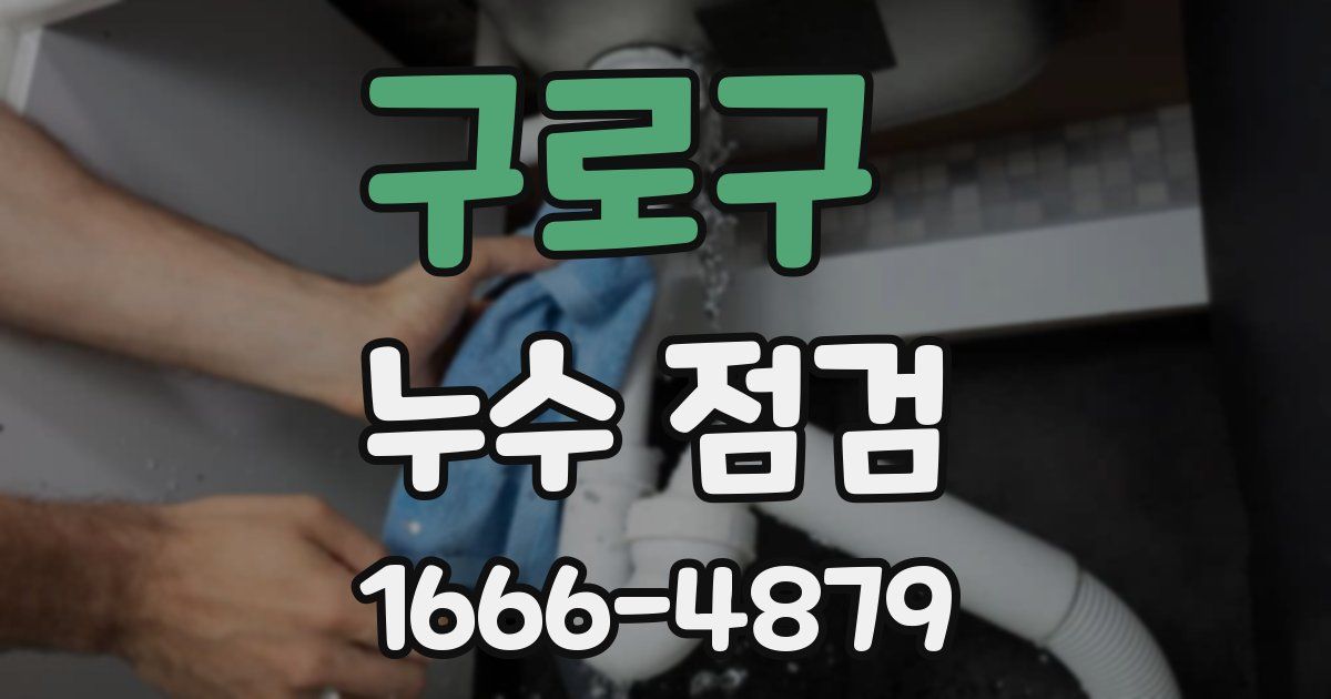 구로구 누수 점검