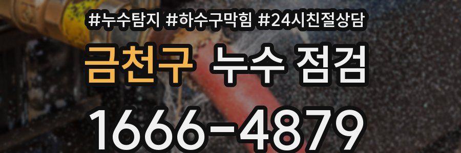 금천구 누수 점검
