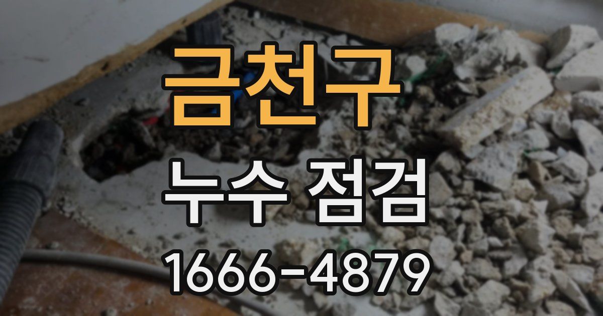 금천구 누수 점검