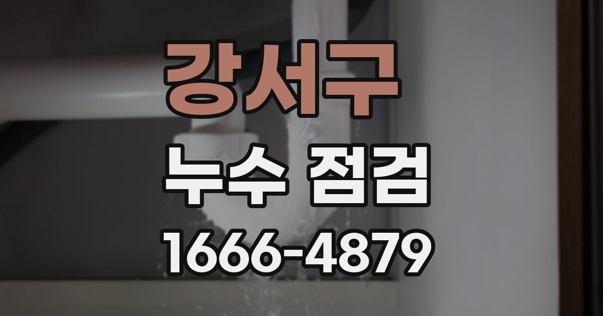 강서구 누수 점검