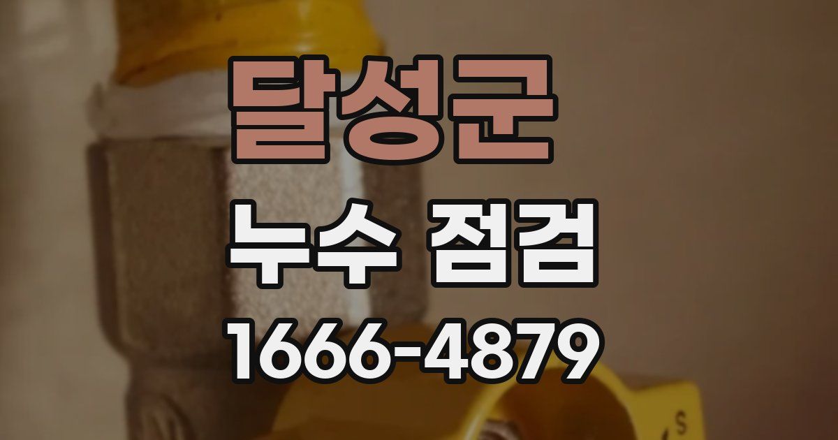 달성군 누수 점검
