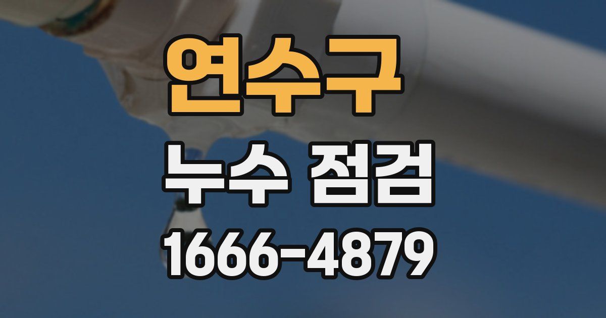 연수구 누수 점검