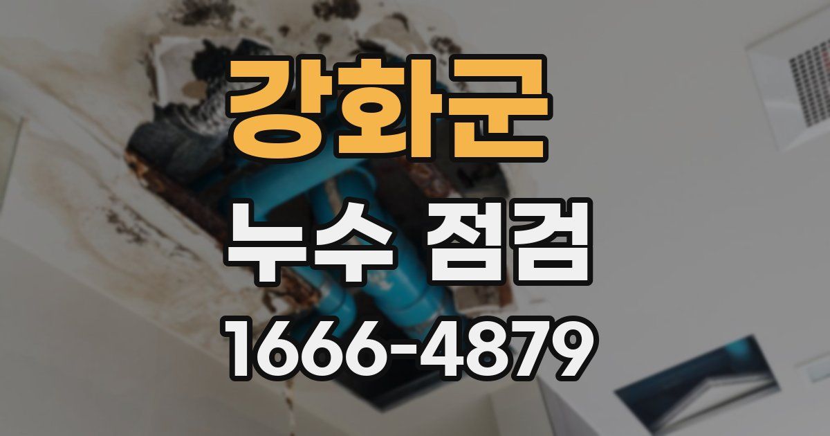 강화군 누수 점검