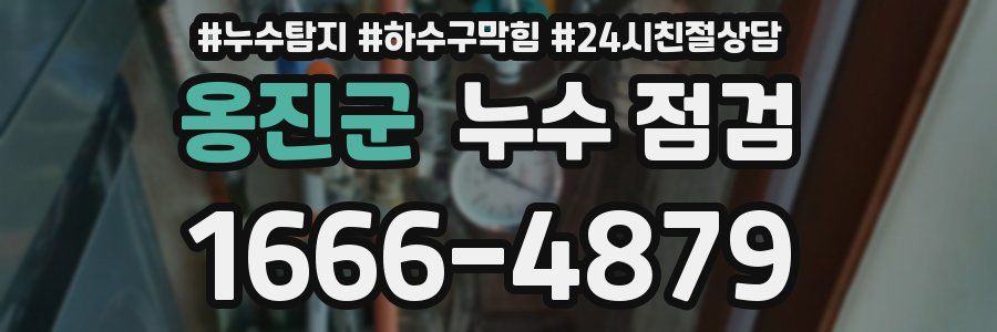 옹진군 누수 점검