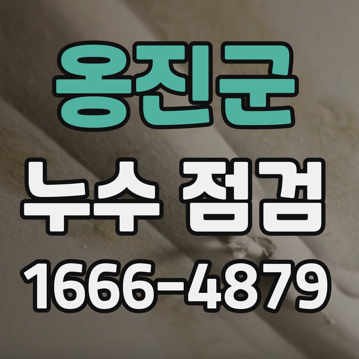 옹진군 누수 점검
