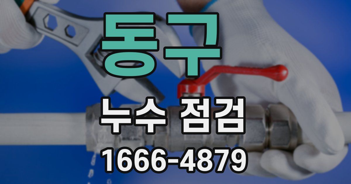동구 누수 점검
