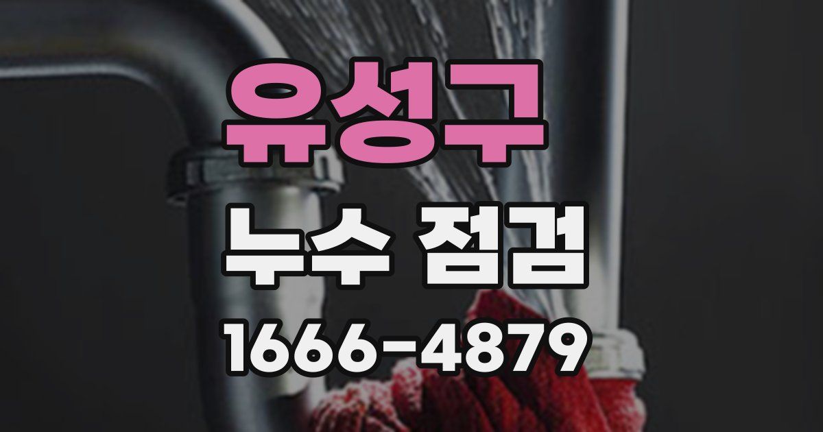 유성구 누수 점검