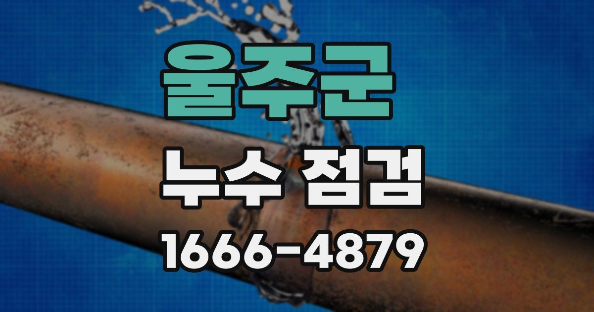 울주군 누수 점검