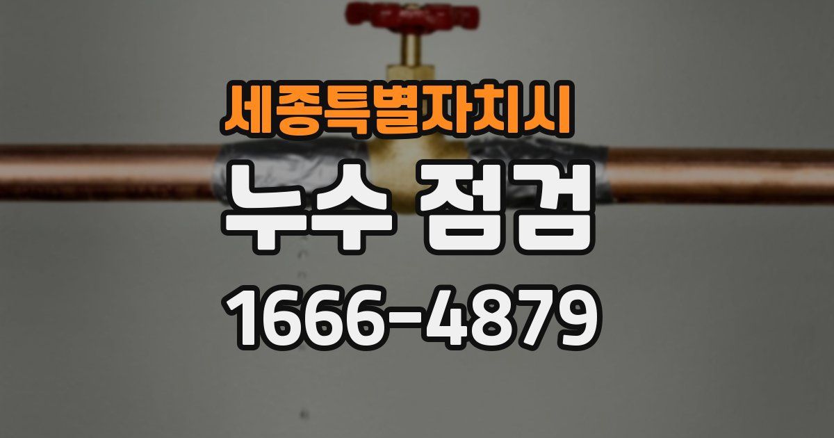 세종특별자치시 누수 점검