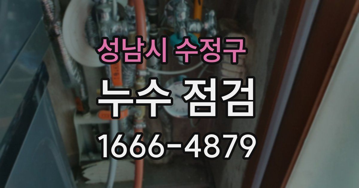 성남시 수정구 누수 점검